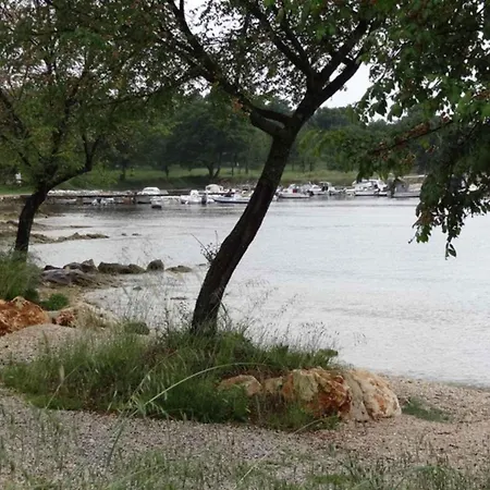 In Porec/istrien 40404 Apartment *