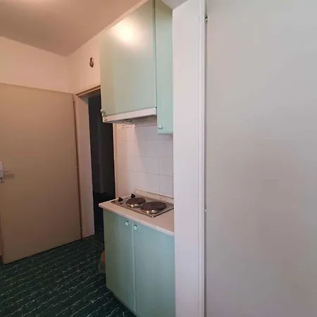 Apartment In Porec/istrien 40404